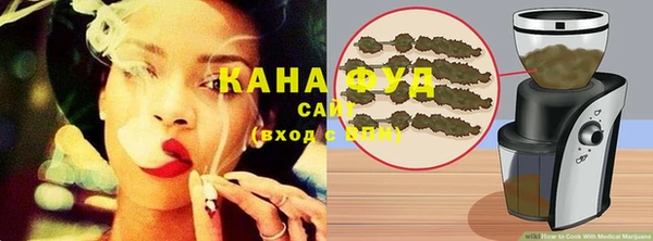 молекула духа Алексеевка
