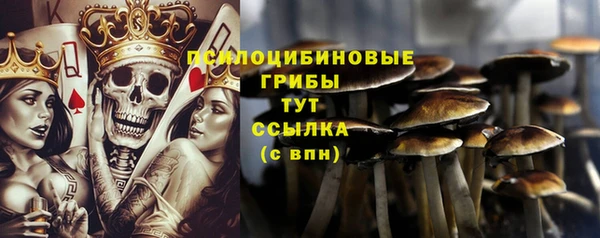 молекула духа Алексеевка